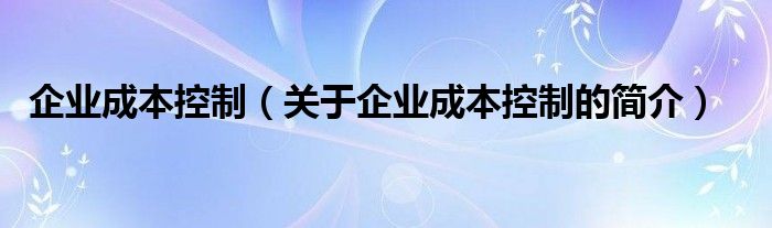 企業(yè)成本控制（關于企業(yè)成本控制的簡介）