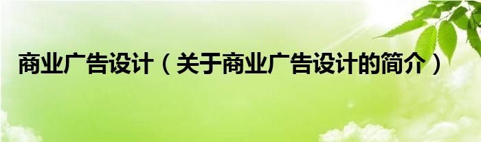 商業(yè)廣告設(shè)計（關(guān)于商業(yè)廣告設(shè)計的簡介）