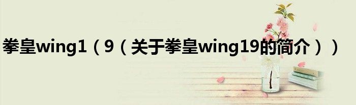 拳皇wing1（9（關(guān)于拳皇wing19的簡介））