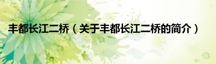 豐都長(zhǎng)江二橋（關(guān)于豐都長(zhǎng)江二橋的簡(jiǎn)介）