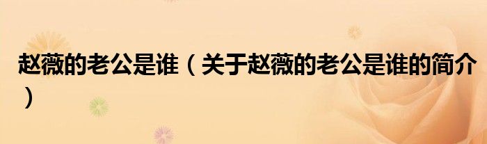 趙薇的老公是誰（關(guān)于趙薇的老公是誰的簡(jiǎn)介）