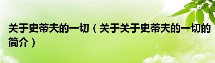 關(guān)于史蒂夫的一切（關(guān)于關(guān)于史蒂夫的一切的簡介）