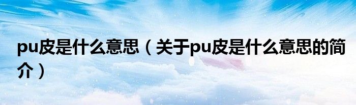 pu皮是什么意思（關(guān)于pu皮是什么意思的簡(jiǎn)介）