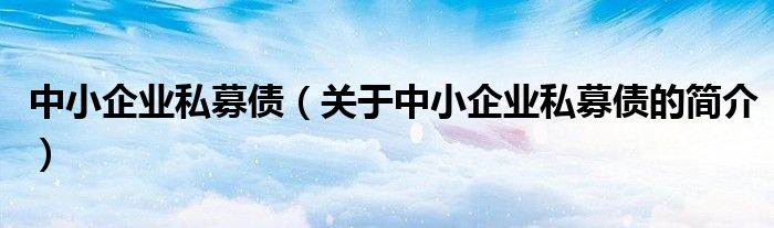 中小企業(yè)私募債（關(guān)于中小企業(yè)私募債的簡介）