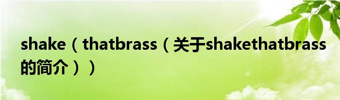 shake（thatbrass（關(guān)于shakethatbrass的簡(jiǎn)介））