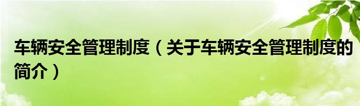 車輛安全管理制度（關于車輛安全管理制度的簡介）