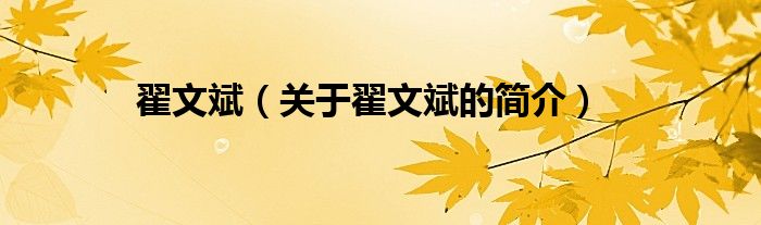 翟文斌（關(guān)于翟文斌的簡(jiǎn)介）