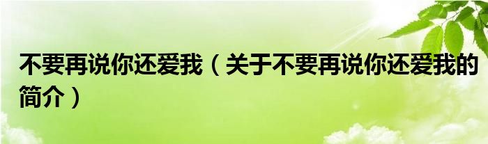 不要再說你還愛我（關(guān)于不要再說你還愛我的簡(jiǎn)介）