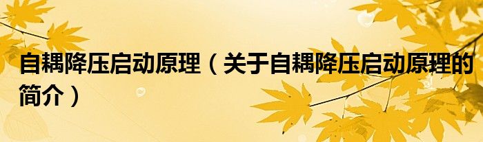 自耦降壓?jiǎn)?dòng)原理（關(guān)于自耦降壓?jiǎn)?dòng)原理的簡(jiǎn)介）