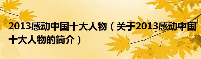 2013感動中國十大人物（關于2013感動中國十大人物的簡介）