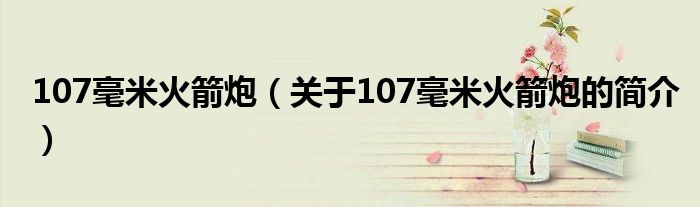 107毫米火箭炮（關(guān)于107毫米火箭炮的簡(jiǎn)介）