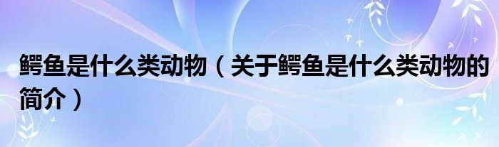 鱷魚是什么類動(dòng)物（關(guān)于鱷魚是什么類動(dòng)物的簡(jiǎn)介）