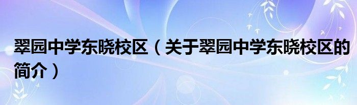 翠園中學東曉校區(qū)（關于翠園中學東曉校區(qū)的簡介）