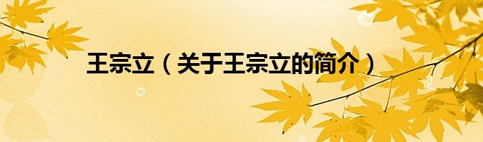 王宗立（關(guān)于王宗立的簡(jiǎn)介）