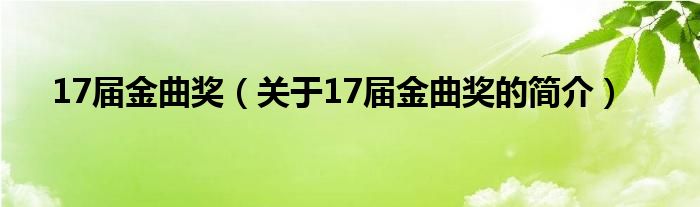 17屆金曲獎（關(guān)于17屆金曲獎的簡介）