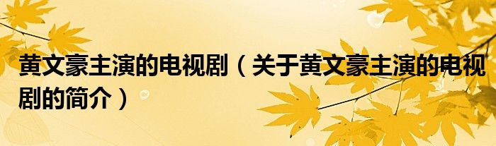 黃文豪主演的電視劇（關(guān)于黃文豪主演的電視劇的簡(jiǎn)介）