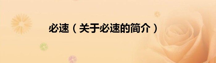 必速（關(guān)于必速的簡(jiǎn)介）