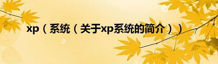 xp（系統(tǒng)（關于xp系統(tǒng)的簡介））