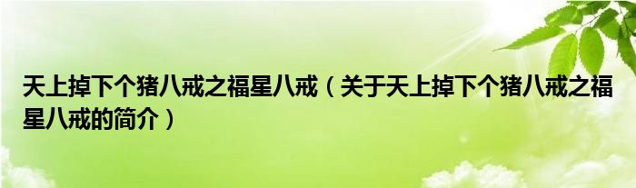 天上掉下個豬八戒之福星八戒（關于天上掉下個豬八戒之福星八戒的簡介）