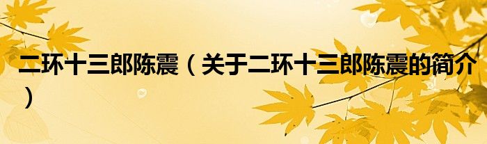 二環(huán)十三郎陳震（關(guān)于二環(huán)十三郎陳震的簡(jiǎn)介）