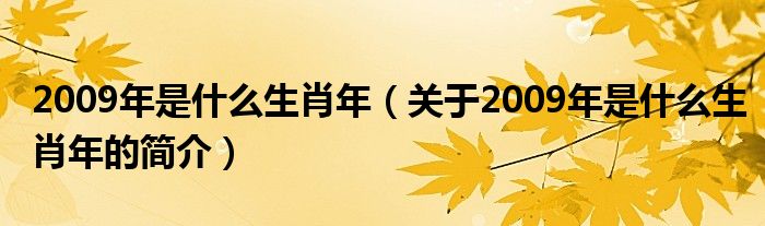 2009年是什么生肖年（關(guān)于2009年是什么生肖年的簡(jiǎn)介）