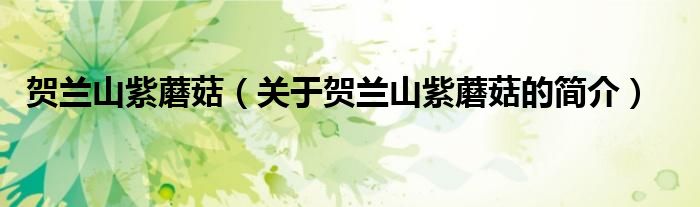 賀蘭山紫蘑菇（關(guān)于賀蘭山紫蘑菇的簡(jiǎn)介）