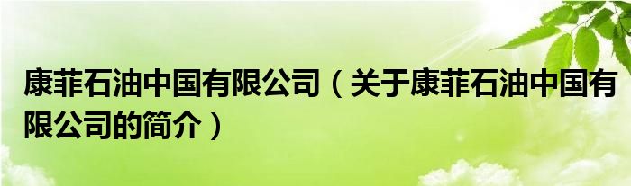 康菲石油中國(guó)有限公司（關(guān)于康菲石油中國(guó)有限公司的簡(jiǎn)介）