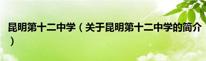 昆明第十二中學（關(guān)于昆明第十二中學的簡介）