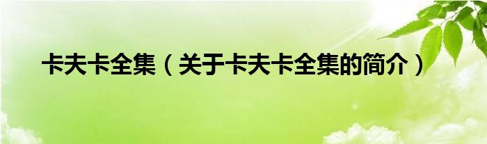 卡夫卡全集（關(guān)于卡夫卡全集的簡介）