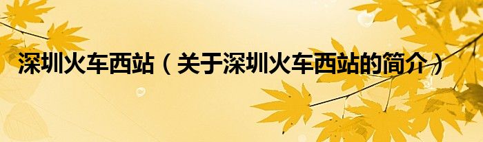 深圳火車西站（關(guān)于深圳火車西站的簡介）