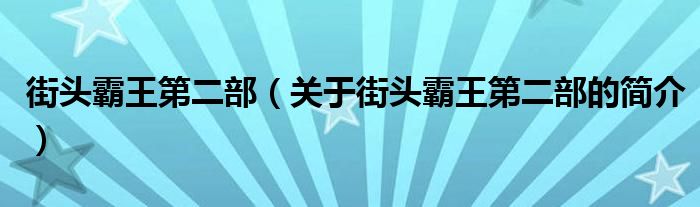 街頭霸王第二部（關(guān)于街頭霸王第二部的簡介）