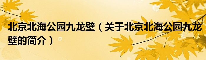 北京北海公園九龍壁（關于北京北海公園九龍壁的簡介）