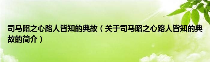 司馬昭之心路人皆知的典故（關于司馬昭之心路人皆知的典故的簡介）