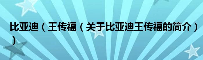 比亞迪（王傳福（關(guān)于比亞迪王傳福的簡(jiǎn)介））