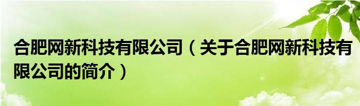 合肥網(wǎng)新科技有限公司（關于合肥網(wǎng)新科技有限公司的簡介）