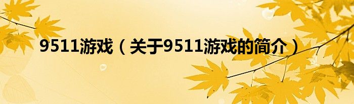 9511游戲（關于9511游戲的簡介）