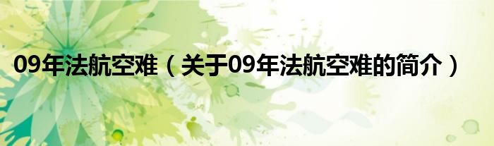 09年法航空難（關(guān)于09年法航空難的簡介）