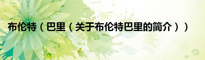 布倫特（巴里（關(guān)于布倫特巴里的簡(jiǎn)介））