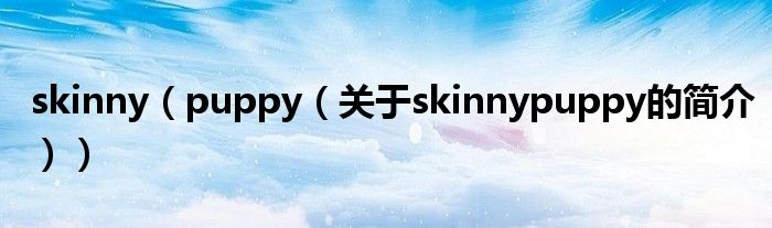 skinny（puppy（關(guān)于skinnypuppy的簡(jiǎn)介））