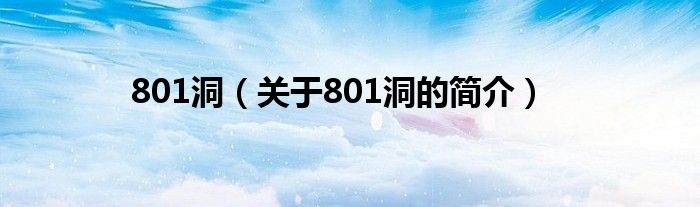 801洞（關于801洞的簡介）