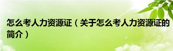 怎么考人力資源證（關于怎么考人力資源證的簡介）