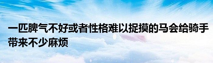 一匹脾氣不好或者性格難以捉摸的馬會(huì)給騎手帶來(lái)不少麻煩