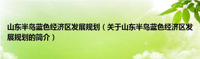 山東半島藍(lán)色經(jīng)濟區(qū)發(fā)展規(guī)劃（關(guān)于山東半島藍(lán)色經(jīng)濟區(qū)發(fā)展規(guī)劃的簡介）