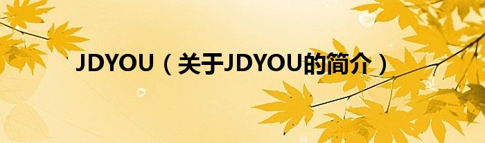 JDYOU（關(guān)于JDYOU的簡(jiǎn)介）