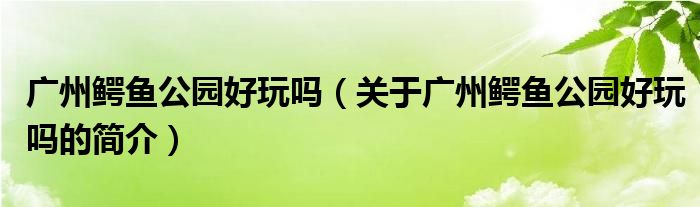 廣州鱷魚公園好玩嗎（關(guān)于廣州鱷魚公園好玩嗎的簡(jiǎn)介）