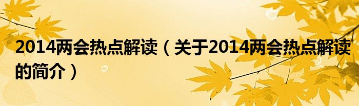 2014兩會熱點解讀（關(guān)于2014兩會熱點解讀的簡介）