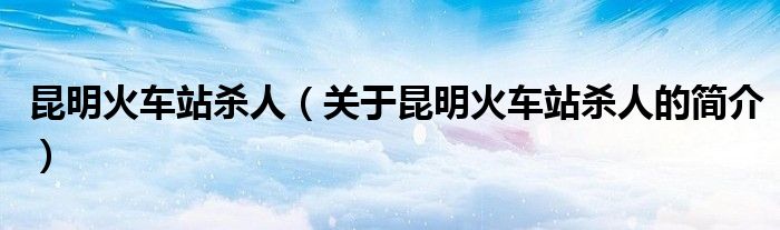 昆明火車站殺人（關于昆明火車站殺人的簡介）