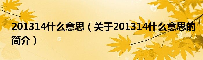 201314什么意思（關(guān)于201314什么意思的簡介）