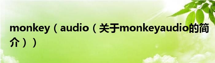 monkey（audio（關(guān)于monkeyaudio的簡(jiǎn)介））