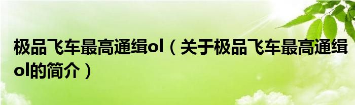 極品飛車最高通緝ol（關(guān)于極品飛車最高通緝ol的簡介）